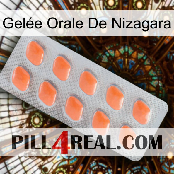 Gelée Orale De Nizagara 26